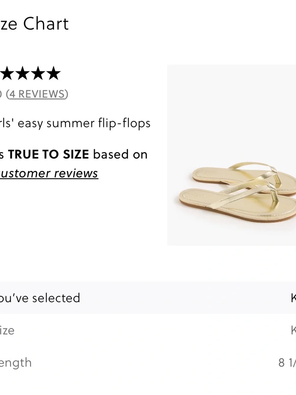 J. Crew Factory simple metallic